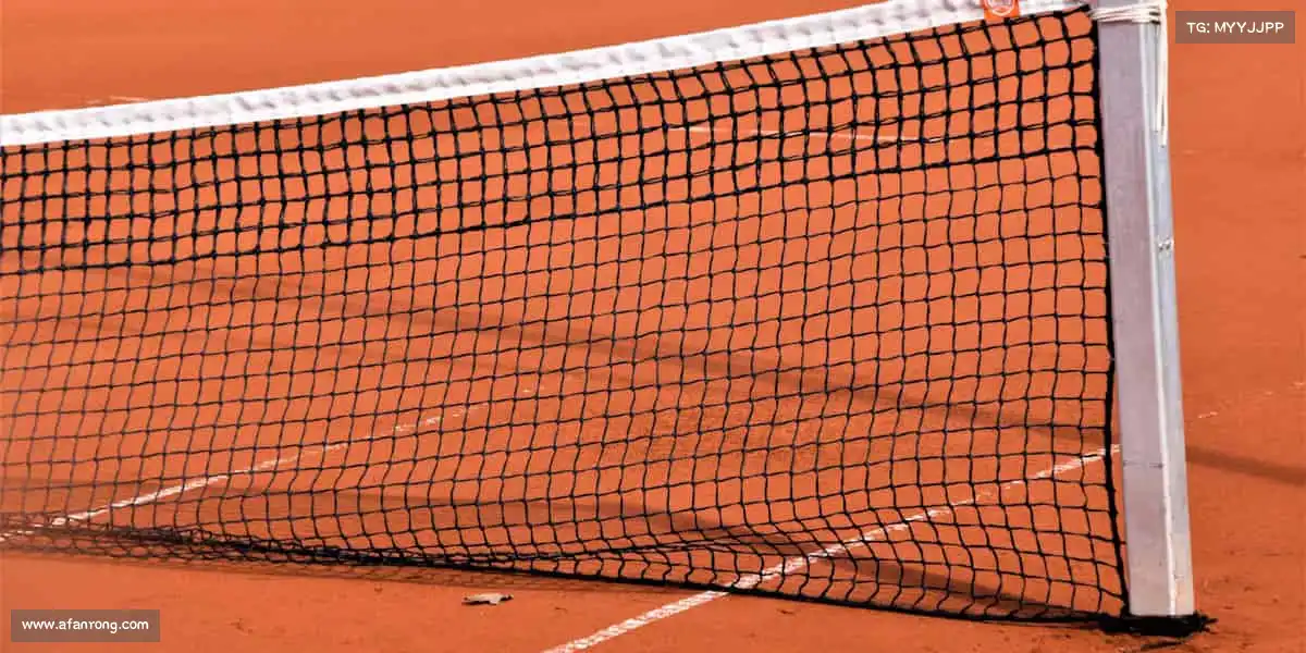 为什么选择我们